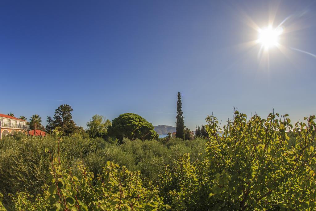 Olive Grove Apts Lithakia 部屋 写真