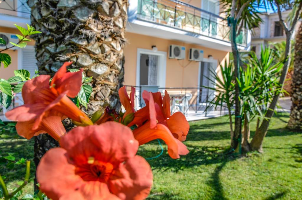 Olive Grove Apts Lithakia エクステリア 写真