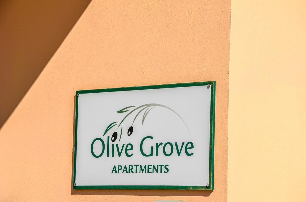 Olive Grove Apts Lithakia エクステリア 写真