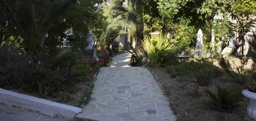 Olive Grove Apts Lithakia エクステリア 写真